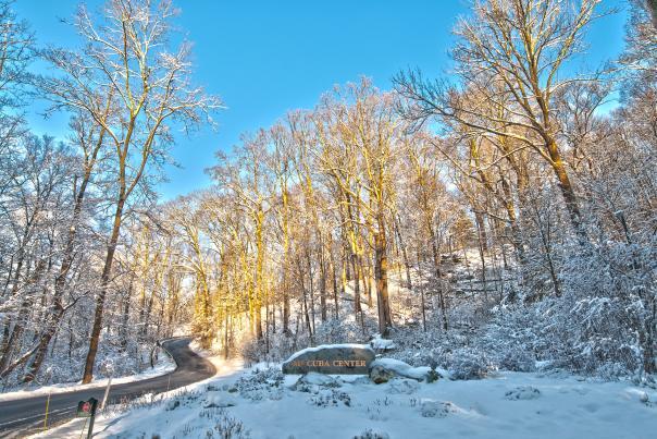 Winter