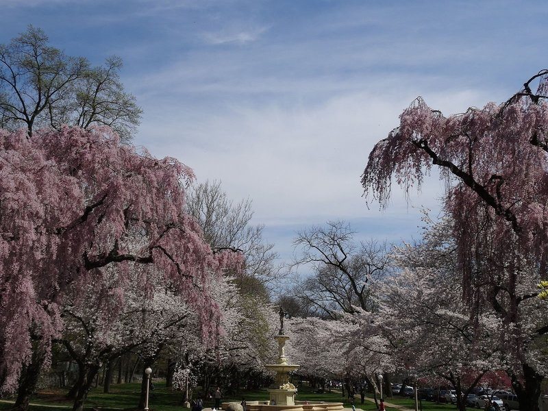 Brandywine Park 