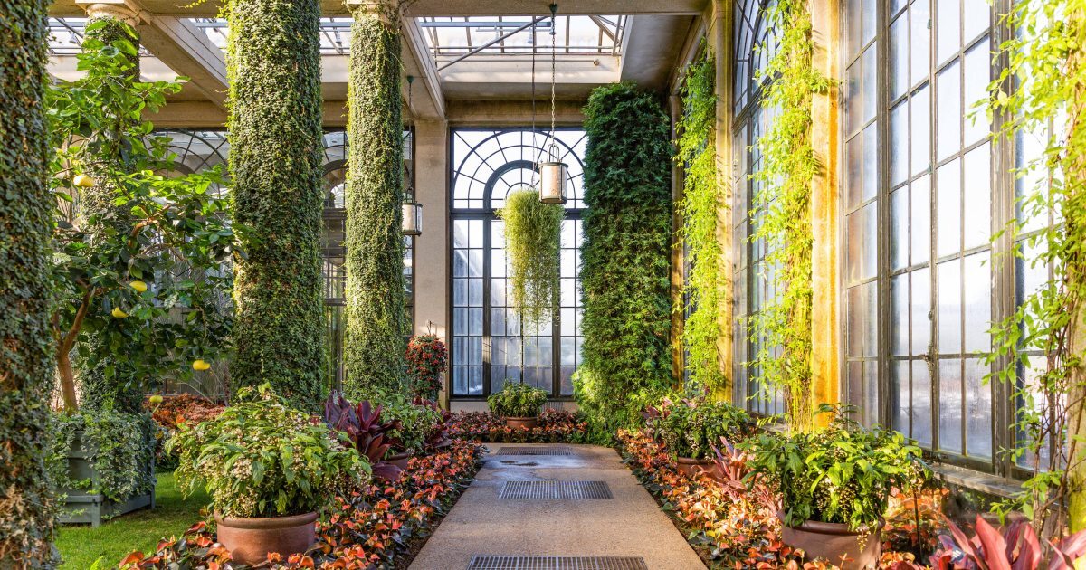 498744_Winter Wonder_Orangery_Becca-Mathias