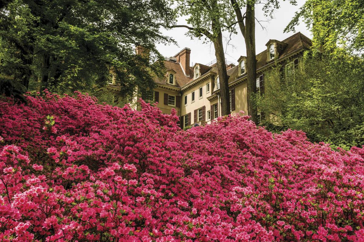 Spring_Garden_house-Leitch_4C014A8A-0739-4436-9A632346F6832257_b8ecfdaa-80cc-4572-b91a7b1bfe98f82d