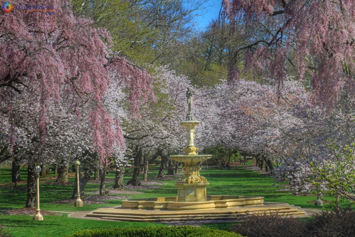 Brandywine Park 