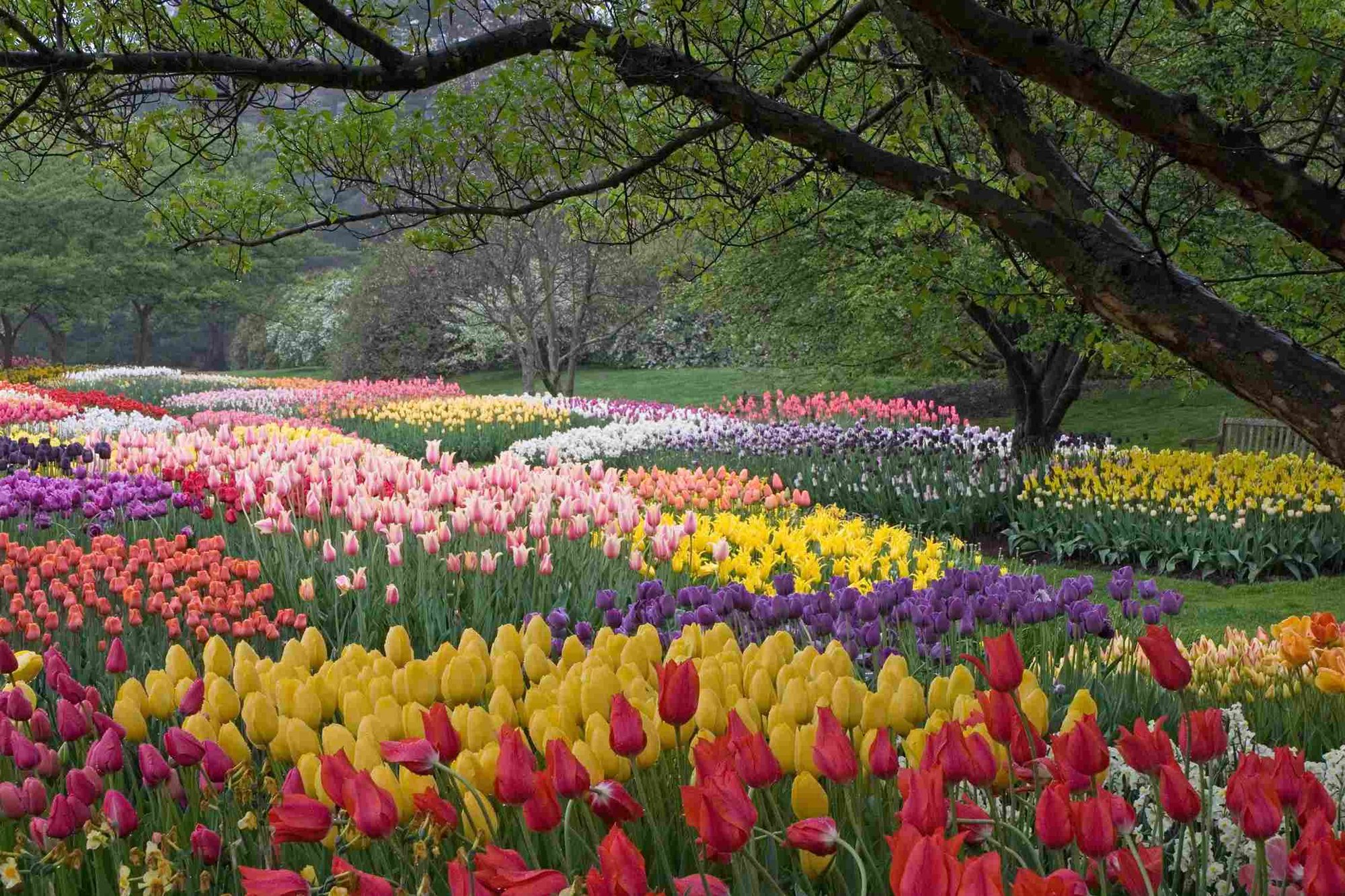 Spring