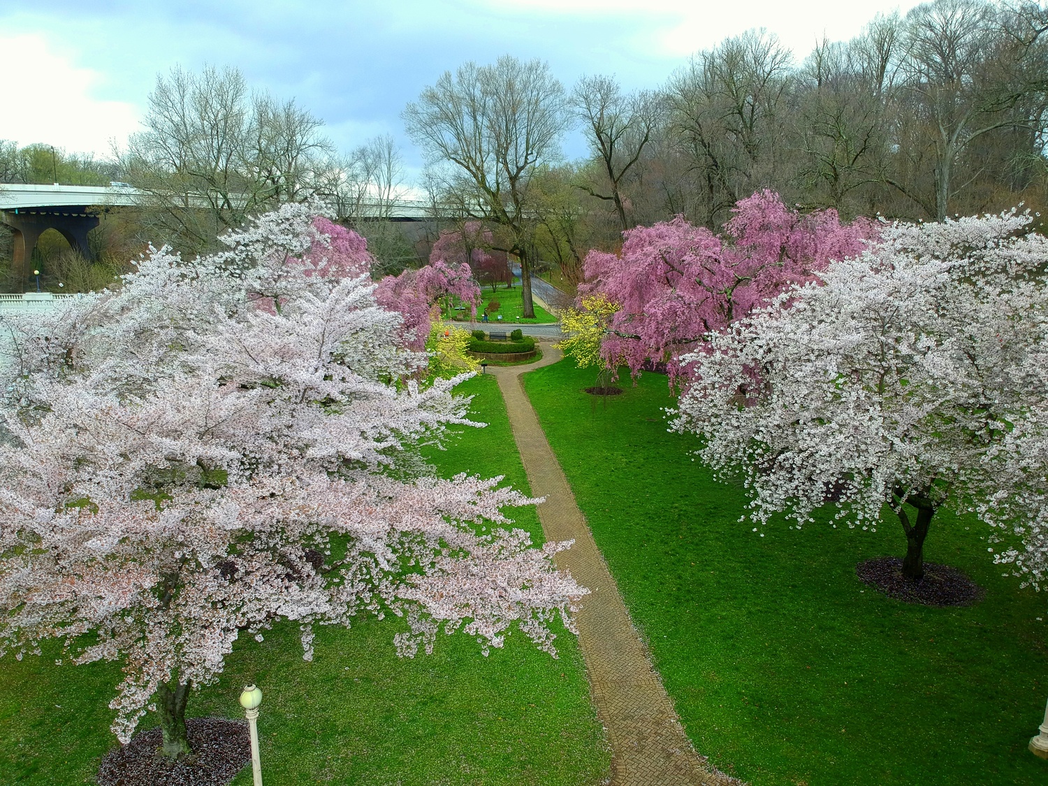 Wilmington's Best Free Activities - The Quoin Hotel